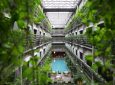 Βιώσιμη φιλοξενία: Οικολογικές τάσεις και συμβουλές για ξενοδοχεία
