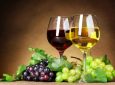 Γιορτή κρασιού από τον Πολιτιστικό Σύλλογο Πηγαδισάνων «Πρόοδος»