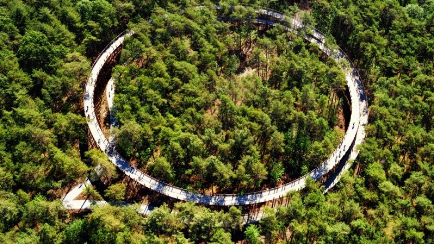 Breeze through the forest canopy on a spiraled bike path in Belgium