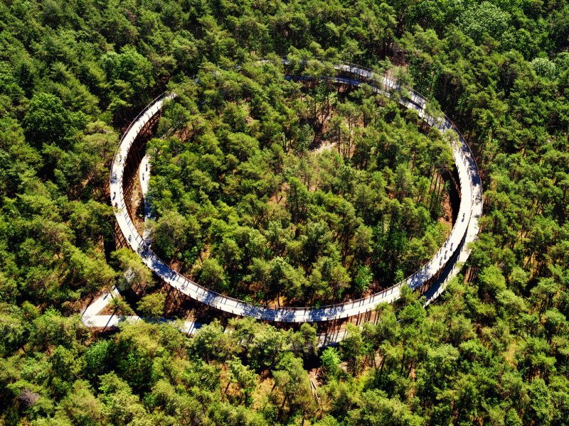 Breeze through the forest canopy on a spiraled bike path in Belgium