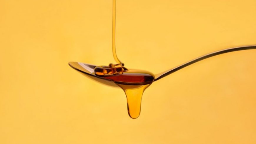 Τα πάντα για το μέλι, το κορυφαίο προϊόν της ελληνικής φύσης