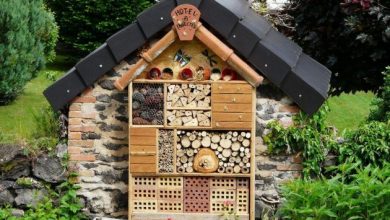 Ένα χειροποίητο «ξενοδοχείο» για άγριες μέλισσες