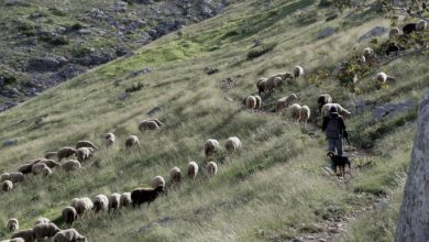 Η Μετακινούμενη Κτηνοτροφία και η Βυζαντινή Μουσική στον Κατάλογο της UNESCO