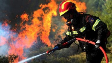 Οδηγίες προστασίας σε περίπτωση δασικής πυρκαγιάς από τον Δήμο Λευκάδας