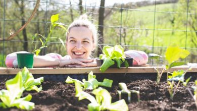 Τα οφέλη της κηπουρικής για την ψυχική υγεία στην εποχή του κορωνοϊού