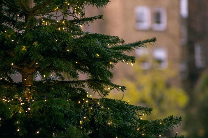 Φωταγώγηση του Χριστουγεννιάτικου δέντρου στην Κεντρική Πλατεία της Λευκάδας