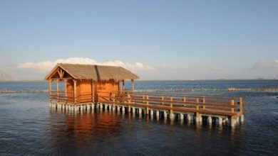 Λιμνοθάλασσα Μεσολογγίου – Αιτωλικού: Πελάδες και ιβάρια
