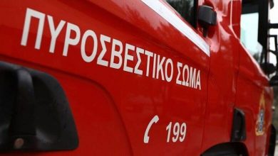 Διοίκηση Πυροσβεστικών Υπηρεσιών: Οδηγίες ενόψει της αντιπυρικής περιόδου που ξεκινάει την 1η Μαΐου