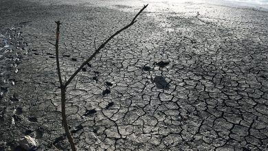 Σήμα κινδύνου για την ξηρασία στην Ευρώπη