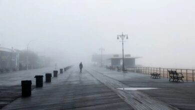 Φωτογραφία ημέρας: περπατώντας στην ομίχλη