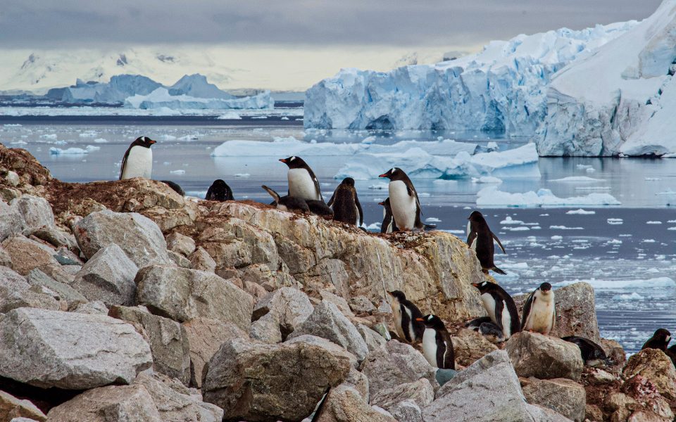 Η Γεωγραφία είναι πολύ κουλ: Πώς είναι να εργάζεσαι στην Ανταρκτική;