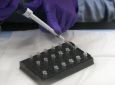 Βιολογία – Νέος δρόμος για την εξέλιξη: Το μιτοχονδριακό DNA «τρυπώνει» στο ανθρώπινο γονιδίωμα και το αλλάζει