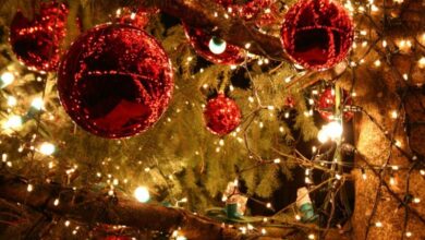 Χριστουγεννιάτικες εκδηλώσεις από τον Δήμο Λευκάδας