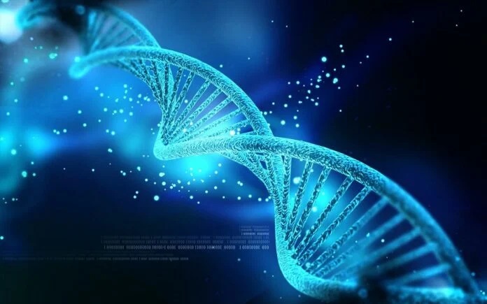 Εμφανίζονται στον άνθρωπο νέα γονίδια… από το πουθενά