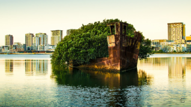 Ένα εγκαταλειμμένο 108 ετών πλοίο μετατρέπεται σε δάσος που επιπλέει
