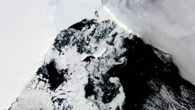 Τρομακτική συρρίκνωση ρεκόρ των πάγων της Ανταρκτικής