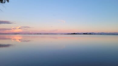 Φωτογραφία ημέρας: το ροζ στη λιμνοθάλασσα
