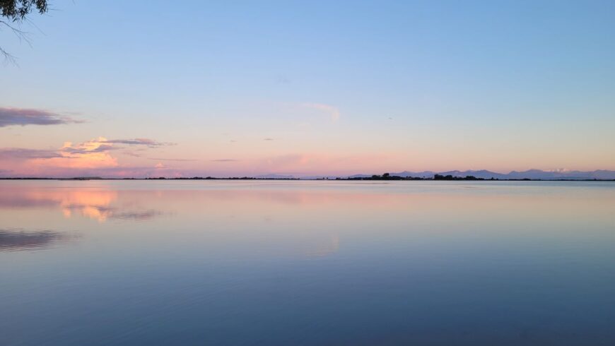 Φωτογραφία ημέρας: το ροζ στη λιμνοθάλασσα