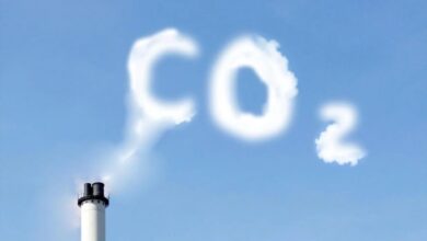 Νέα επαναστατική μέθοδος απορρόφησης του διοξειδίου του άνθρακα από την ατμόσφαιρα