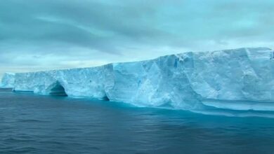 Δύο παγόβουνα μεγάλα σαν το Λονδίνο και την Κορνουάλη απειλούν πλοία και οικοσυστήματα (βίντεο)