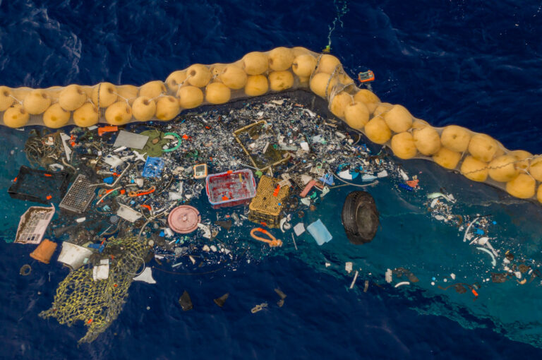 Ο «Μεγάλος Σκουπιδότοπος» του Ειρηνικού είναι πλέον ένα παράκτιο οικοσύστημα