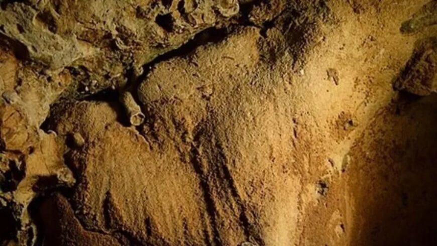 Γαλλία: Ανακαλύφθηκαν οι παλαιότερες σπηλαιογραφίες των Νεάντερταλ