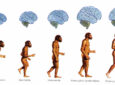 Βρισκόμαστε στην αρχή του τέλους και για τον άνθρωπο Homo s. sapiens;