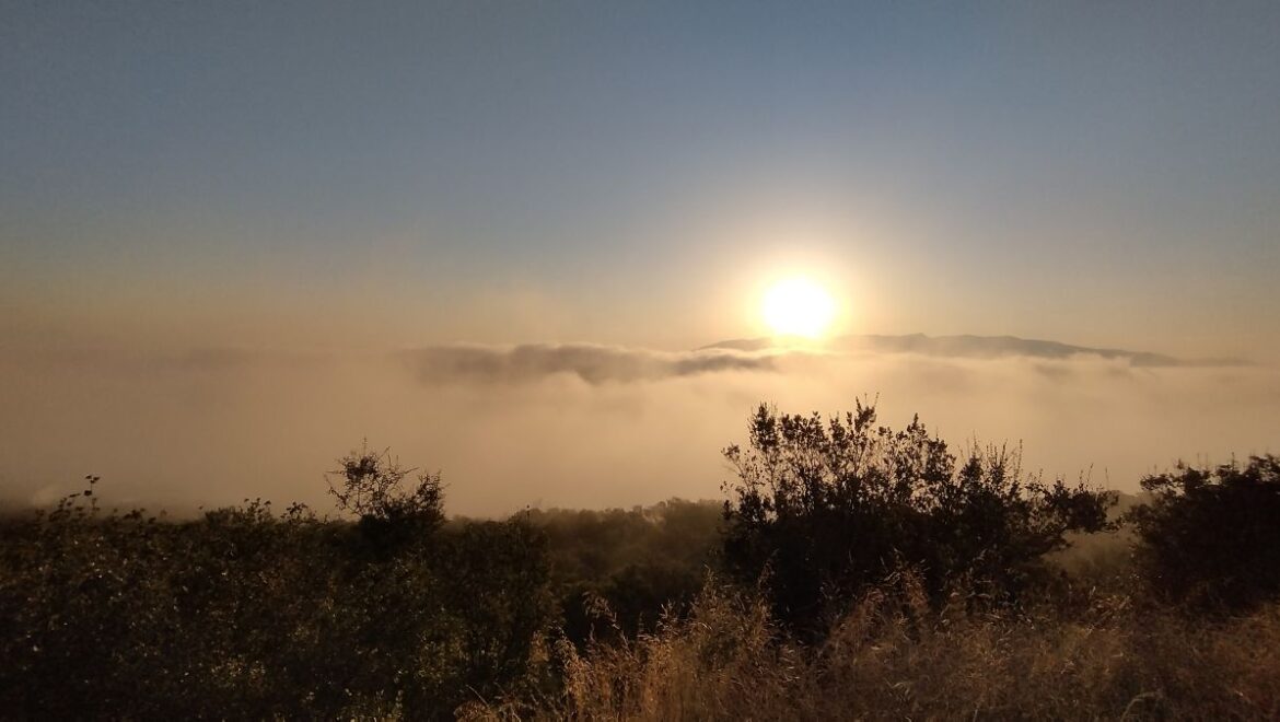 Φωτογραφία ημέρας: χάραξε και η πόλη είχε ομίχλη
