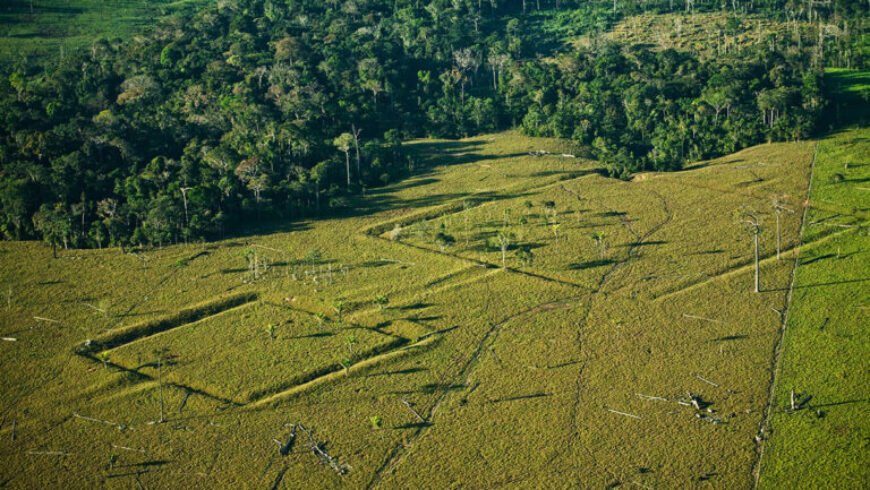 Επιστήμονες εντόπισαν 24 αρχαία χωματουργικά έργα στον Αμαζόνιο