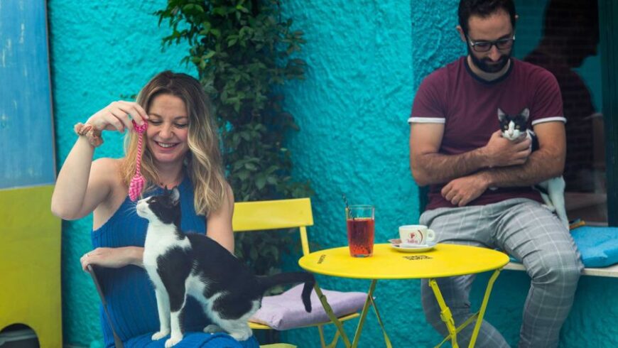 Άφησαν τις δουλειές τους και ανοίγουν το πρώτο cat cafe στην Αθήνα
