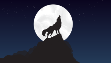 «Φεγγάρι του Λύκου»: Πότε θα δούμε την πρώτη πανσέληνο του 2024