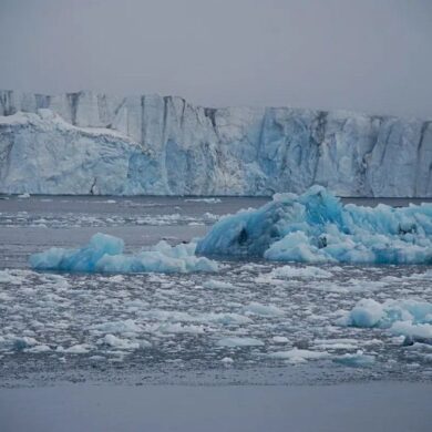 Λιγότερος πάγος και περισσότερο πράσινο: Η παγωμένη Αρκτική γίνεται όλο και πιο πράσινη