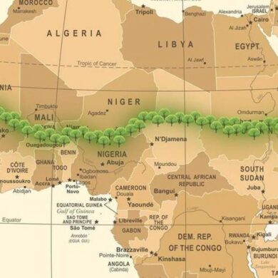 Ελπίδα! Η Αφρική φτιάχνει το μεγαλύτερο πράσινο τείχος του κόσμου