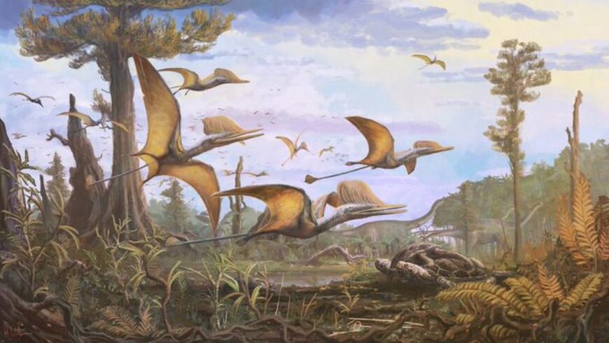 Νέο είδος πτερόσαυρου που έζησε πριν από 170 εκατ. χρόνια εντόπισαν σύγχρονοι… Ιντιάνα Τζόουνς στη Σκωτία!