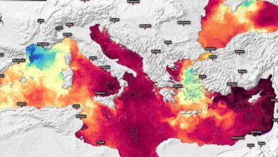 Πολύ υψηλές οι τιμές της θερμοκρασίας της επιφάνειας της θάλασσας της Μεσογείου στα μέσα Ιουλίου 2024